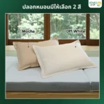 ปลอกหมอน Select one