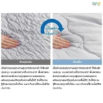 Tororon Ice blanket 1000x1000px (3)