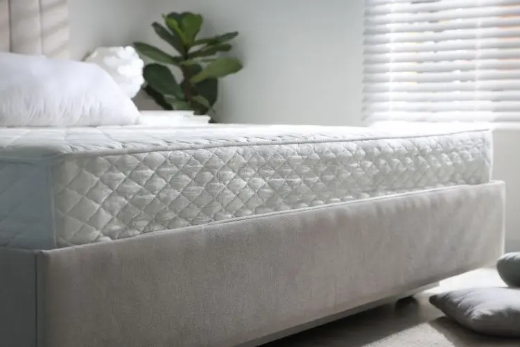 ที่นอนยางพารา